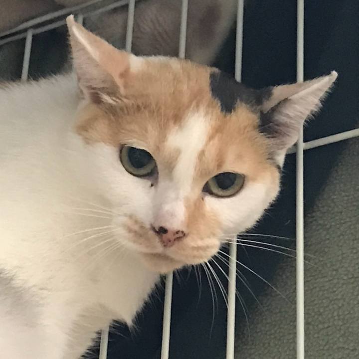 1117f9f9 1f92 49ea b21a b62ad98b8160 1538396262199