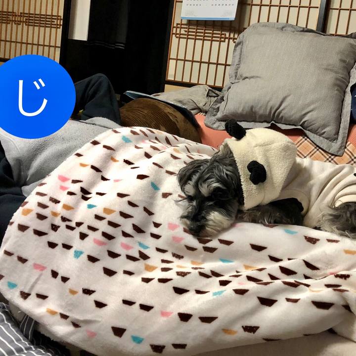 11180ef3 f90e 4c4d 8025 ec5b637c34f2 1647605326450