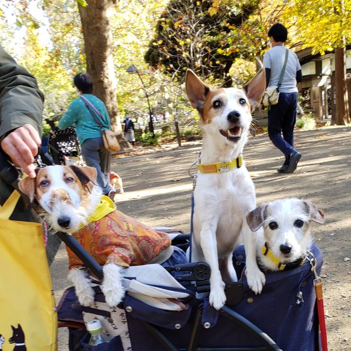 1118226a d26e 4ae7 8baa 6c2515556969 1606573671731