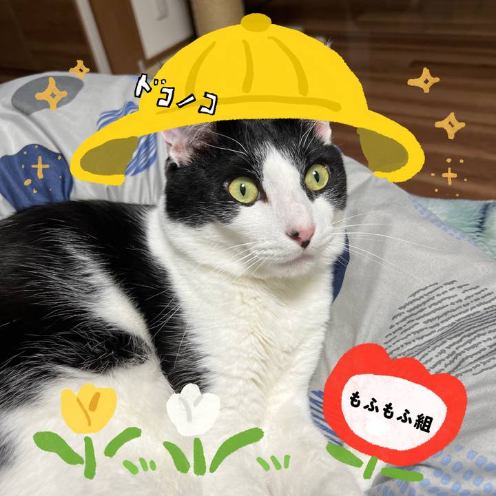 11186958 693c 4fb1 be45 d54aa20a6728 1712392614514