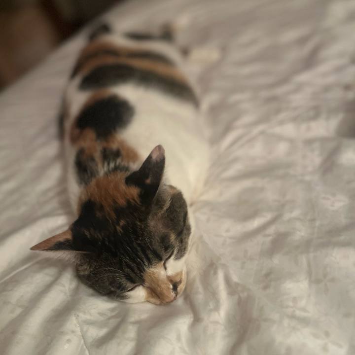 1118afab 2f75 474e b0fc fdee8ac3f5dc 1756645119309