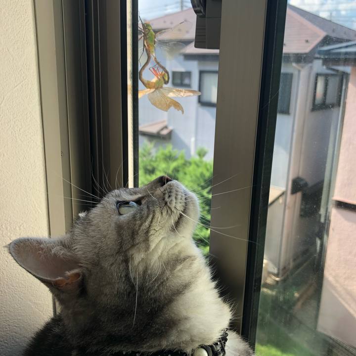 1118c9e4 c26f 4178 9c91 3139c28a264d 1570971692476