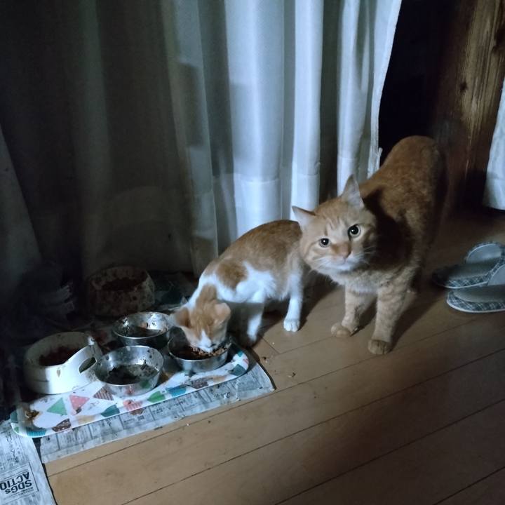 1119169d 351e 4db6 aa2a c7d250f33c71 1727474900817