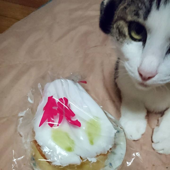 11192701 12c5 4546 9cad 6194f8e965b3 1551615974408