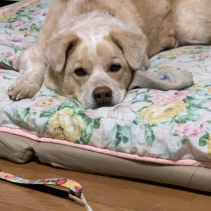 11195ca1 0492 4db7 b137 f6d44e0b4ce1 1552737258063