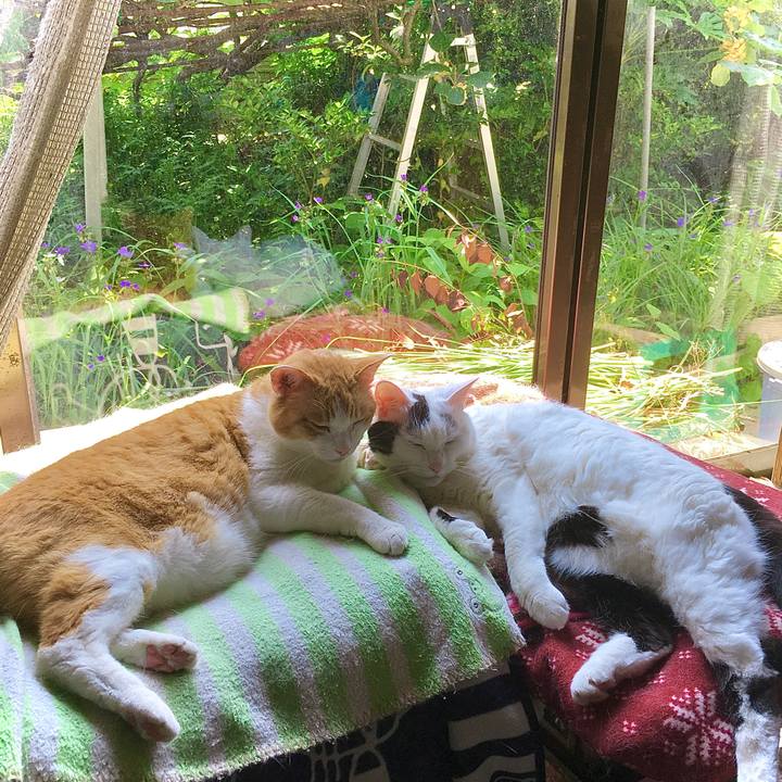 11195e75 1cab 48a6 809f 81e2b3a3d342 1623136398327