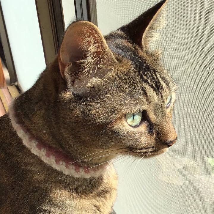 11198833 327f 479d b889 e0e62611a227 1663025094240