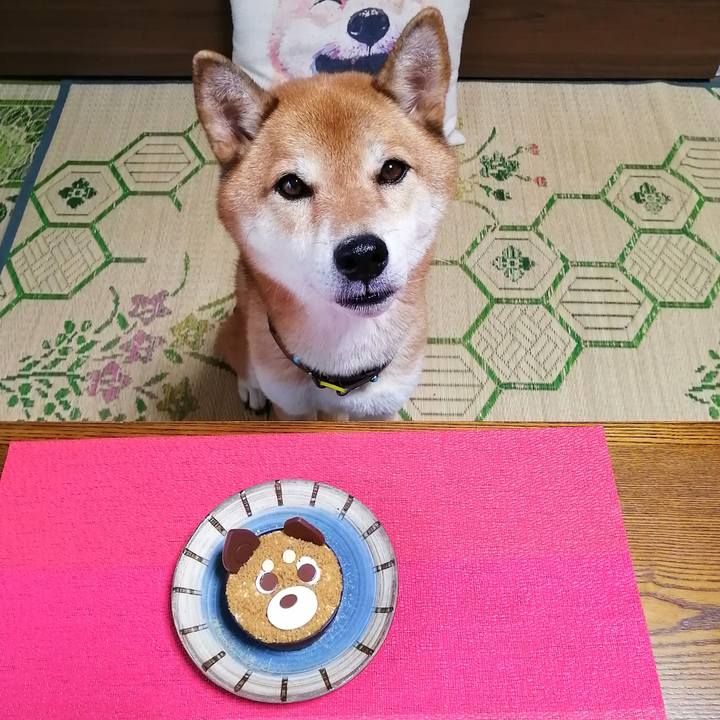 11198bdc 2b10 43d2 92fa c6bcc4be9000 1631600480393