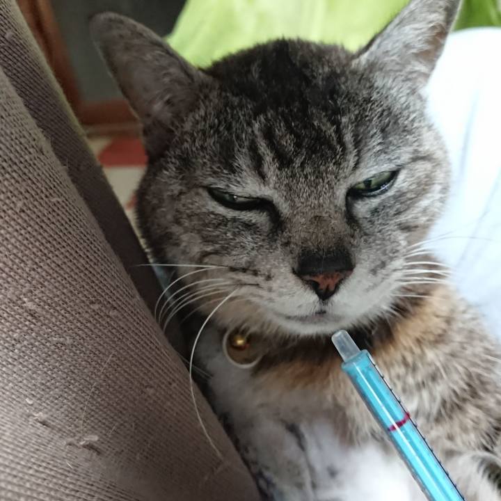 1119e6fb 568f 4189 a0c3 e845646d86df 1588720319343