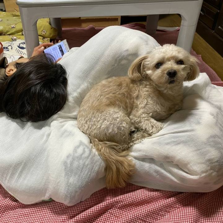 111a104e 3ef7 493d 80ad 71a6c96b6168 1603887223686