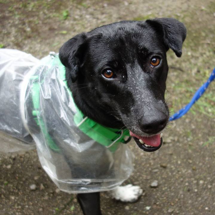 111a2235 332e 421b 8096 b49db1007a49 1595463746379