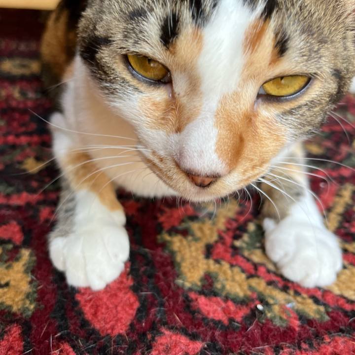 111a4853 6600 4cb2 b0ae 1afcc9849173 1656235120292