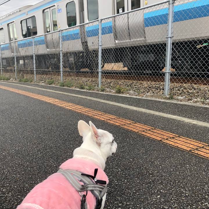 111a4b43 2c18 46c9 9178 0025ed55b31f 1645351993336