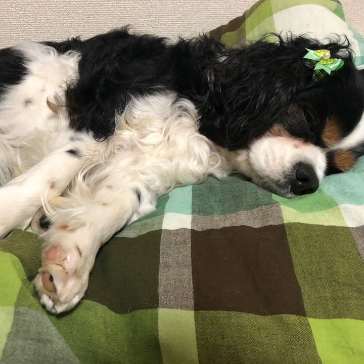 111a8103 cd27 4b06 9c12 979cb56bfd7d 1549542458402