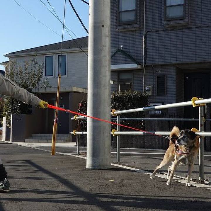 111ac3bb 5f88 41eb a54e 3248f6cdd9d3 1514942502054