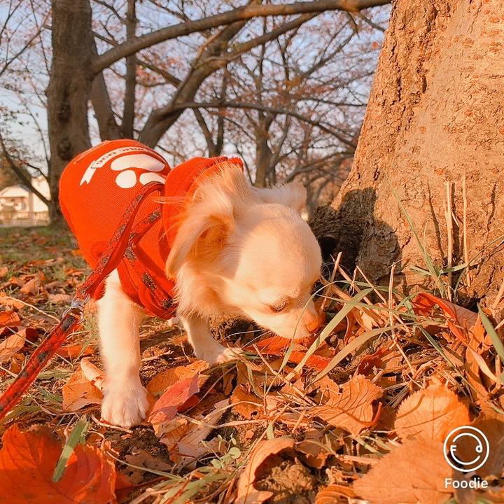 111ae9f0 57fb 4b86 a581 46fa0dfd7506 1605511493101