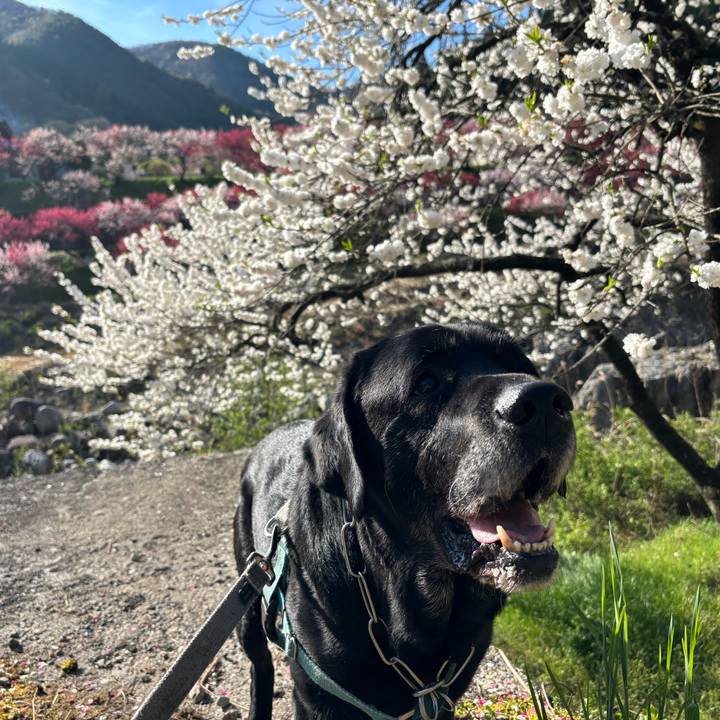 111af0a0 d7e0 455b 9dbe cfec5a0911ea 1776945093885