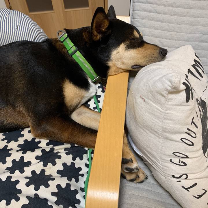 111b0446 56bd 4d6f 9072 7f053ac9865f 1555404815008