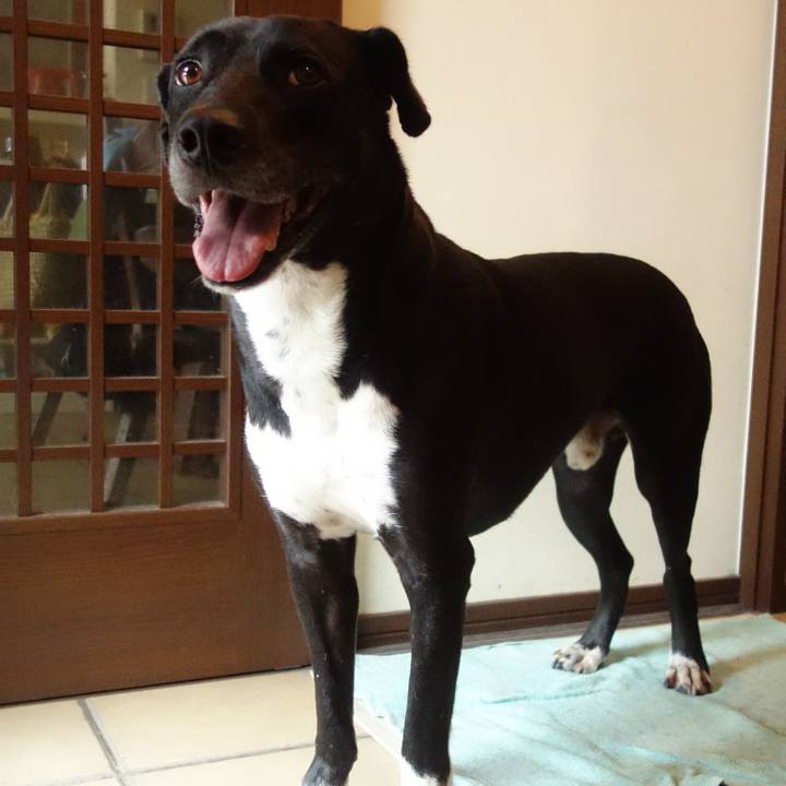 111b0d02 af2c 4dac ae85 1ced330bc8a5 1627260868258