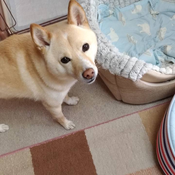 111b33f1 24dd 4187 8e0e 6935f2f960e6 1588295346480