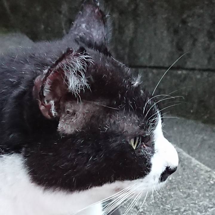 111b65ca 230b 4fb2 8834 ba0c9afb6cb9 1630314073761