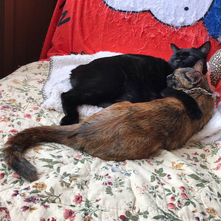 111b8be5 0e74 4a98 9e48 23451bc02785 1641693276883