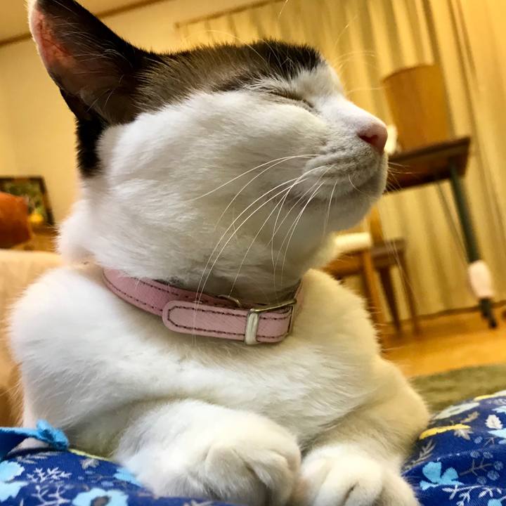 111b9152 1187 457c b6b0 52f6244624aa 1532514442113