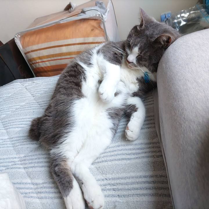 111ba863 02da 4fa7 b74a b5a4a550e926 1715740134856