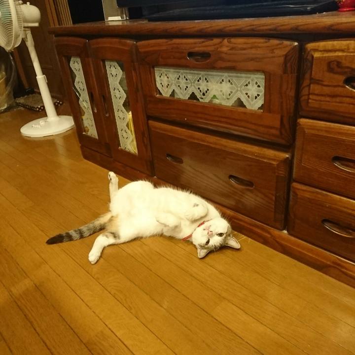 111bc0e4 9bdd 4f48 908b 332a4981b937 1531235012800