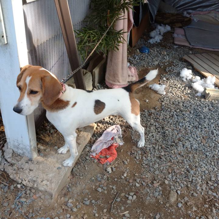 111be6f1 1254 4661 aeaa 85bad644e17a 1602654935749