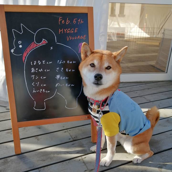 111c0eb5 d9c9 4e5d 83cf 6a9f4e5116b6 1675738549283