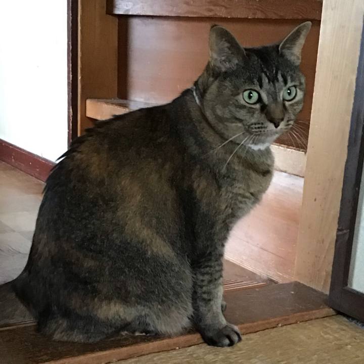 111c1ea3 a08e 4aa5 9699 0448160457cd 1746954050991