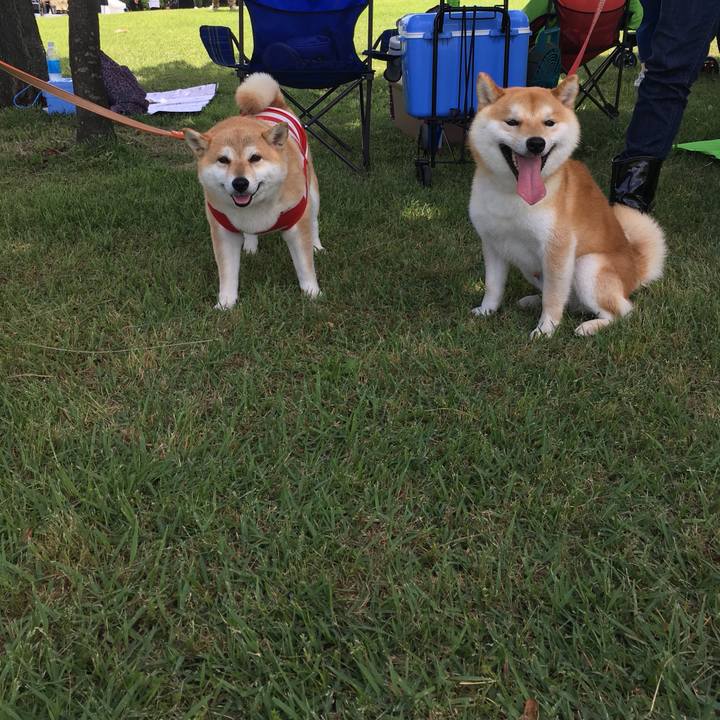 111c1efd f533 4347 bf77 3a4a9e292739 1559977099314