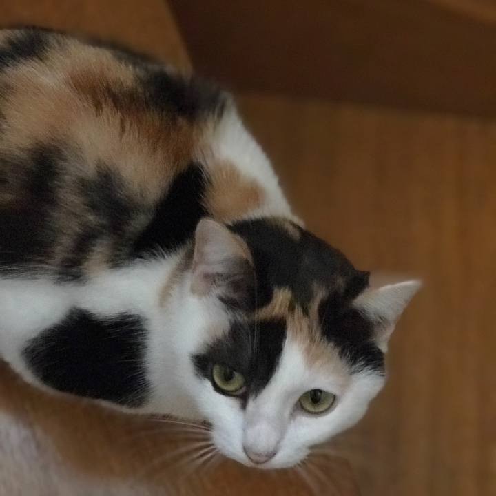 111c6579 c960 4f6d bae0 7012759a7458 1510065829817