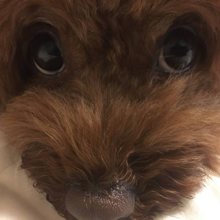 111c7a02 b435 4c32 8423 e44bf54038e4 1536056613261