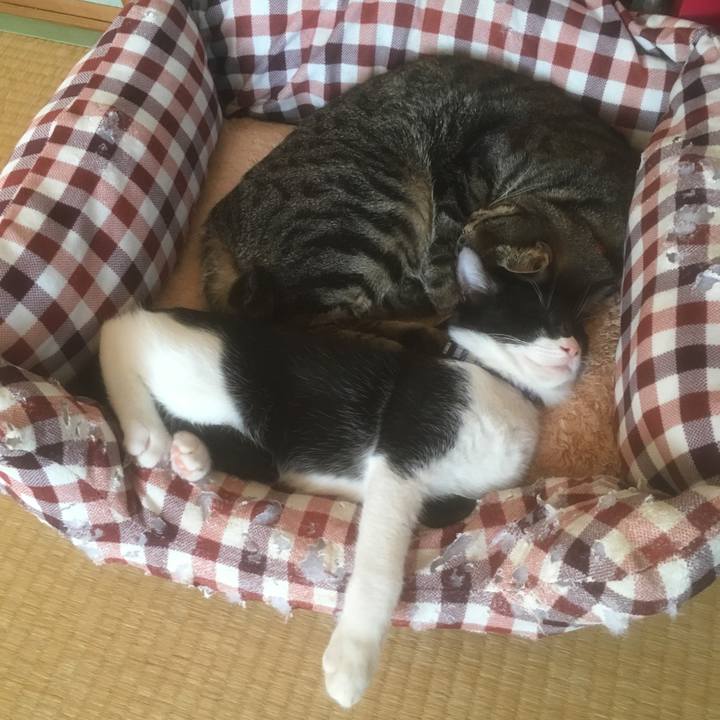 111c94df 909a 4b29 9ba7 0c4c6f5b1e0b 1509775092261