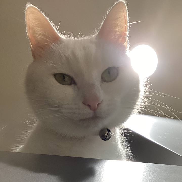 111ca2e9 937a 4915 b075 d6d5cb08ec07 1705997466449