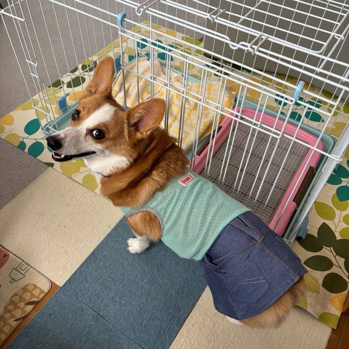 111ccb39 7d7a 4ef3 a0c6 dc6d81b7b0c7 1758497221308