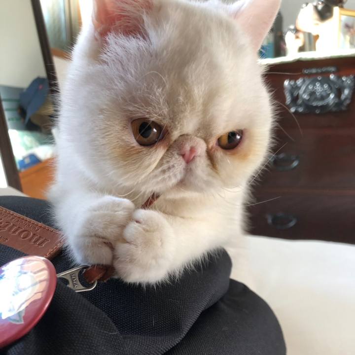 111ceb90 bc38 40e5 9ed7 ff5255c7497e 1569642398553