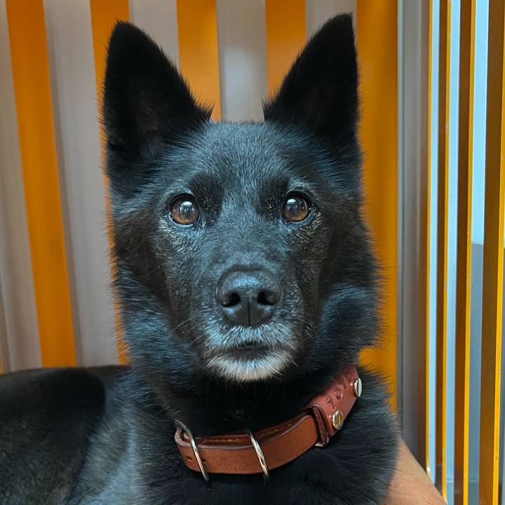 111d0397 0f79 4d6d b900 ef2025259306 1697865802501