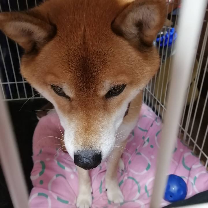 111e3951 740b 4464 bf8e 494fa1d7e90d 1606873558458