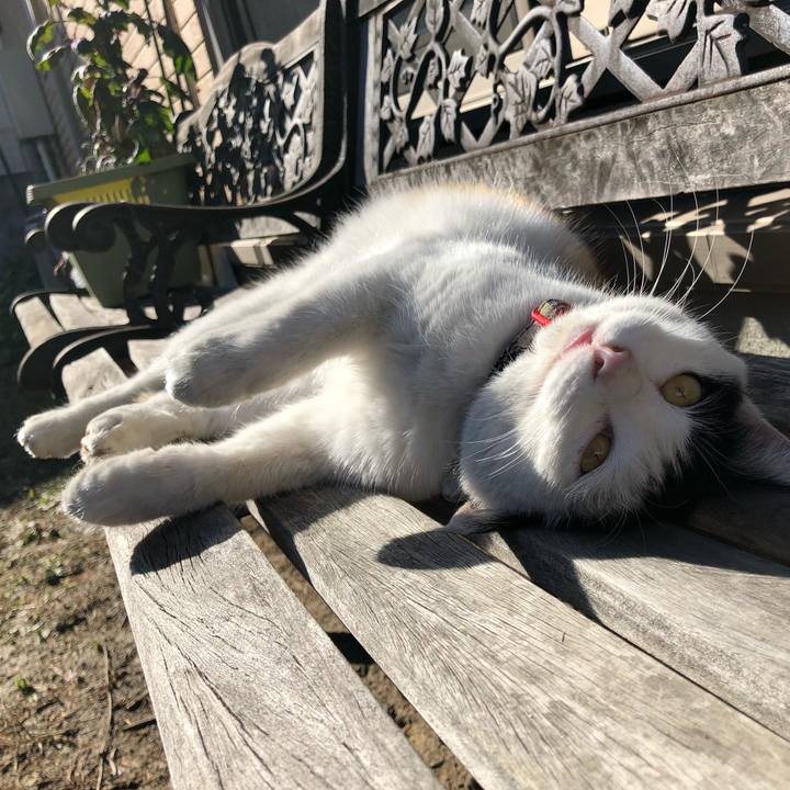 111e4f44 d3b1 43ca 8005 39757c703b19 1609147074222