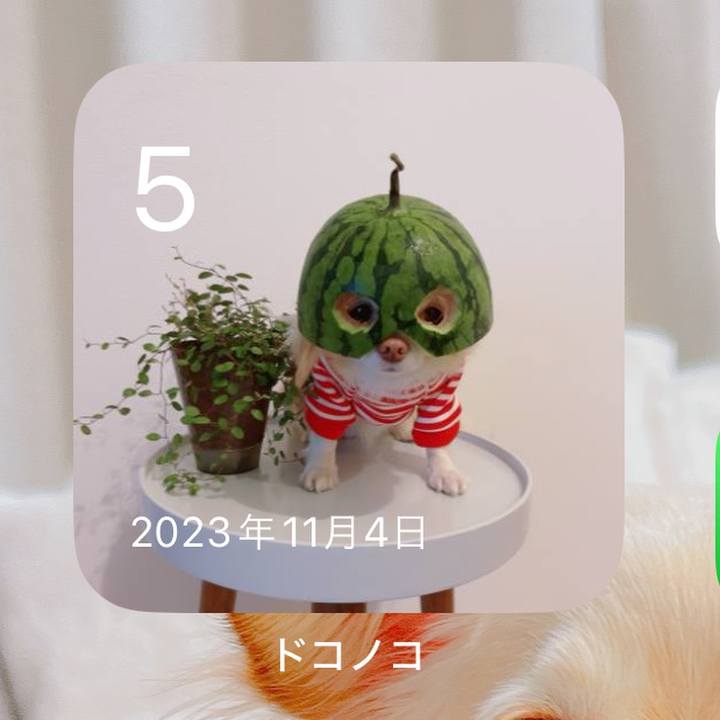 111e550c d1db 4bf0 9e86 899aa083a8d0 1730809491964