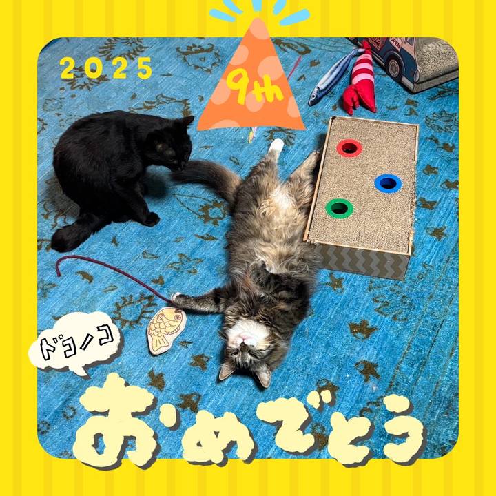 111e5b27 7f1e 47e3 876c a9a3ff72b43b 1749163159292