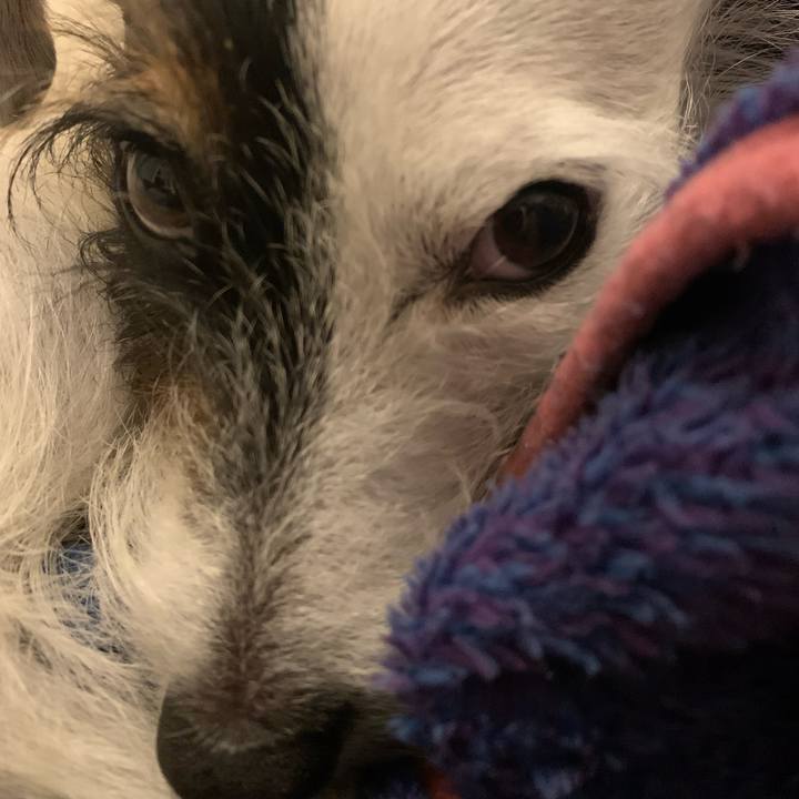 111e646a a274 4aa5 a2f9 74c22f46015e 1668689783101