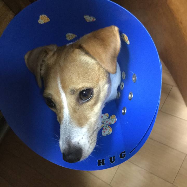 111e79b7 58bc 4081 9551 f7a2c8e69d09 1537951790786