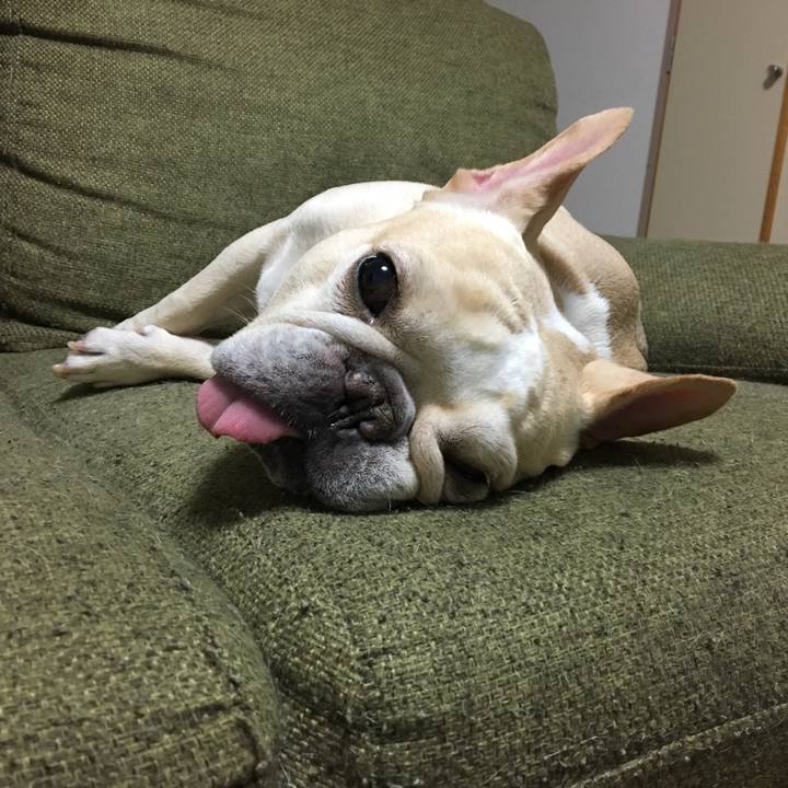 111ea8f0 cafa 4926 a9e8 7c81809b27cf 1511185529992