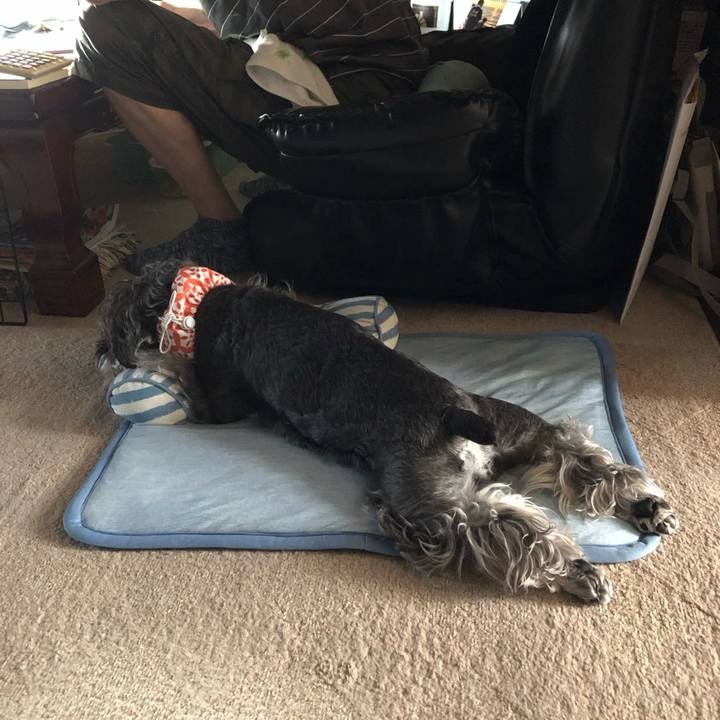 111ec4d1 4d19 49eb b5fe f92b842bc555 1689384202964