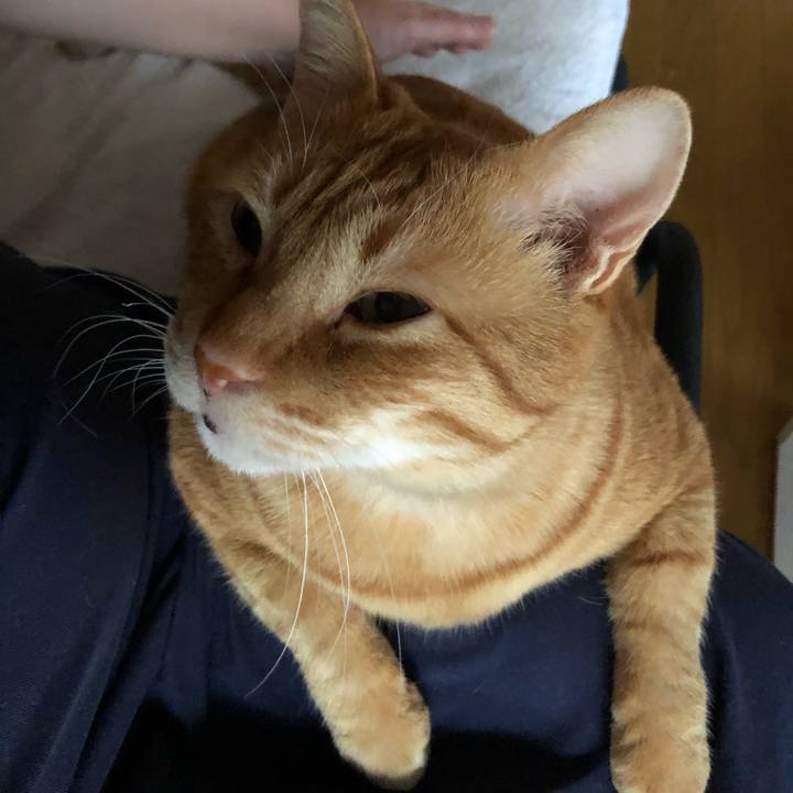 111f2249 c600 4fb3 9f39 c6eccf012b4c 1617397222817