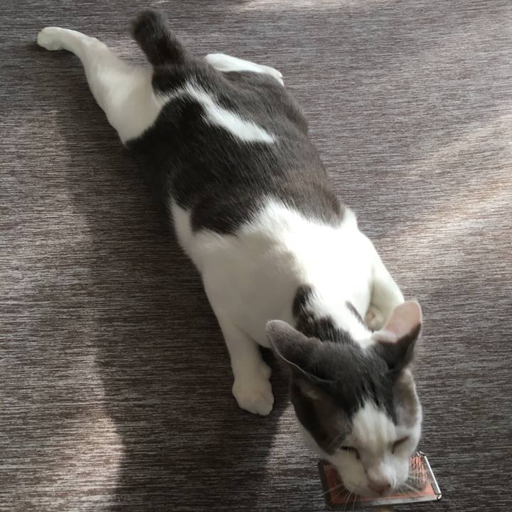 111f3033 7b19 4702 a276 c64ee5504f0c 1532655655001